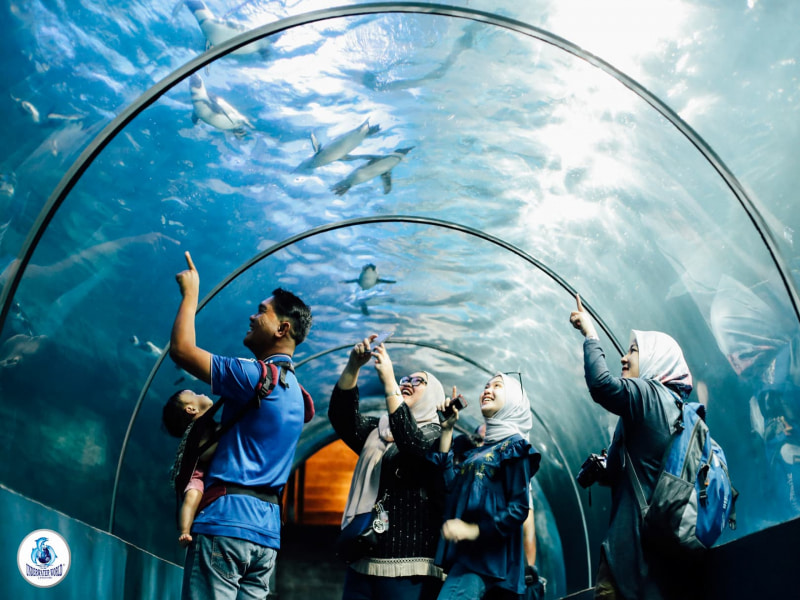 tiga zon di underwaterworld langkawi