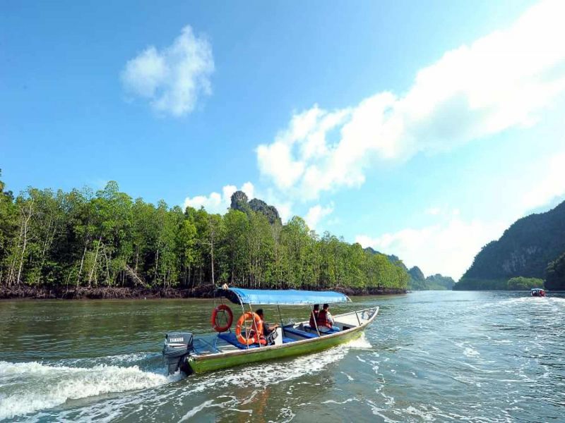 Boat tour passing Mangrove at Langkawi Kilim Geoforest